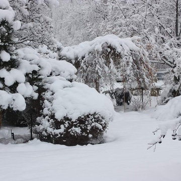 Landscape design highlights