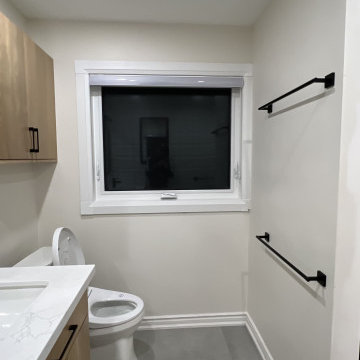 Basement Bathrooms - Master Ensuite & Common Bath