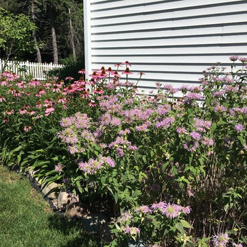 Native Perennial Gardens