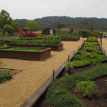 Vegetable gardens