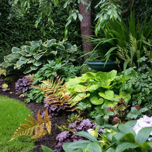 Shade Garden