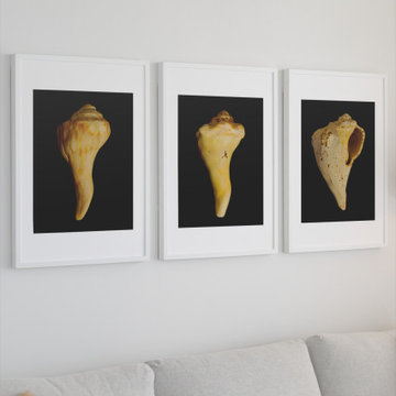State of Erosion 1 - 8-9 Coastal Nature Photograph Wall Art Prints