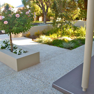 Contemporary Garden and Vertical Garden Feature