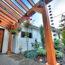 Patio Ideas