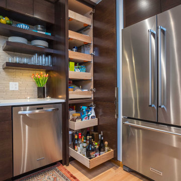 Qualified Remodeler Magazine & Coty Award Winning Modern Kitchen