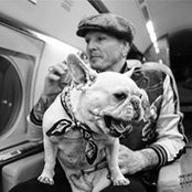 Photo de Matt Sorum