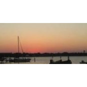 Amy Lippincott's photo