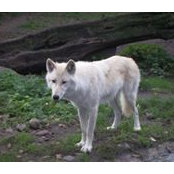 Heike Kellen's photo