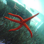 Nancy Picucci's photo
