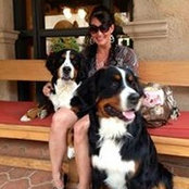 Valerie Taylor-Collins's photo