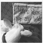 Kristin Kanan's photo