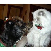 Olivia Taylor's photo