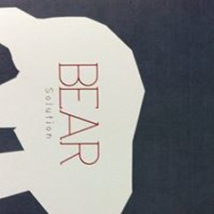 BEAR SOLUTION