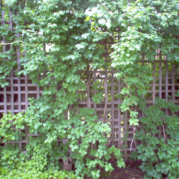 Wood Decks, Fences, Patios and More