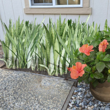 Small Patios