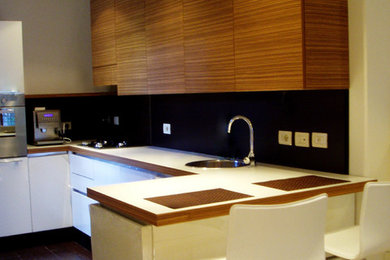 Kitchen - contemporary kitchen idea in Toronto