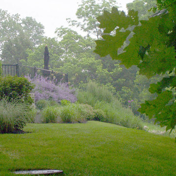 Plantings