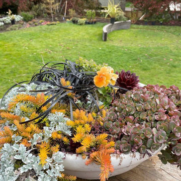 Vancouver Villa - backyard