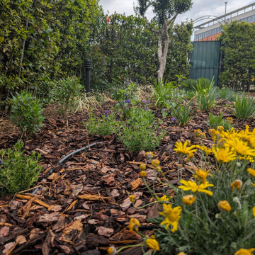 Giardino a bassa manutenzione- Pacciamatura per eliminare la manutenzione