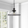 Milo 12.25 Wide Pendant with Glass Shade in Blackened Bronze/Clear