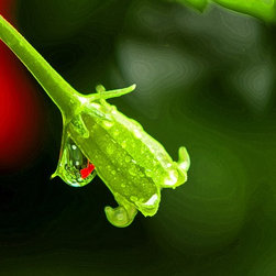 Fine Art Photography - Digital paintings - Products