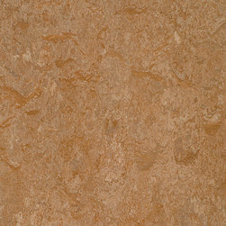 Forbo - Forbo Marmoleum Modular, Shitake - T3233, 20" x 20" - Flooring