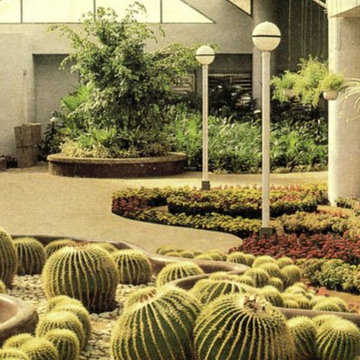 INDO AMERICAN HYBRID SEEDS