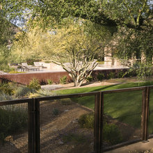 dog yards
