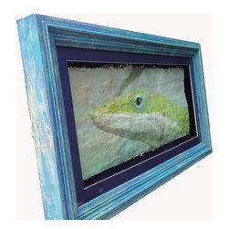 Florida Green Anole - Paintings