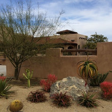 Landscape Desert