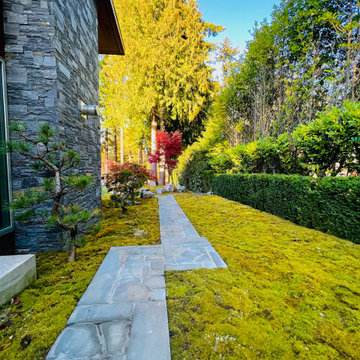 Moss gardens