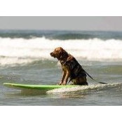 Brenda Giblin's photo
