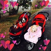 Cara Kudlek's photo