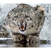 Jean Lyons's photo