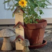 Carol Janick's photo