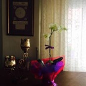 Emel Gun's photo