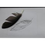 Ginny Taylor's photo