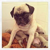 David Garcia's photo