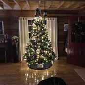 Brenda Payne's photo