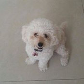 Foto de Benji Bear
