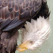 Natalie Tilton's photo