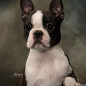 Foto von Cindy Jones