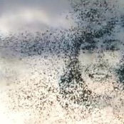 Constanza Corral's photo