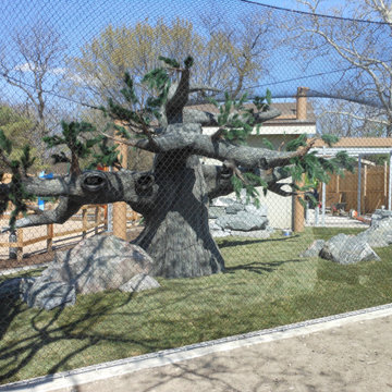 Brookfield Zoo - Red Panda Animal Exhibit (2015)