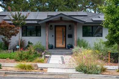 Design ideas for a landscaping in San Francisco.