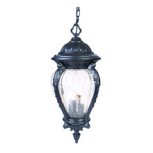 Front Porch Hanging Light