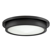 Decorative Lighting (Fall 2018)