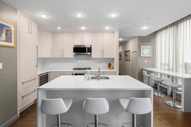 Kitchen - contemporary kitchen idea in New York