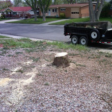 Front yard transformation so far...