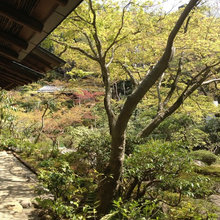style_japon